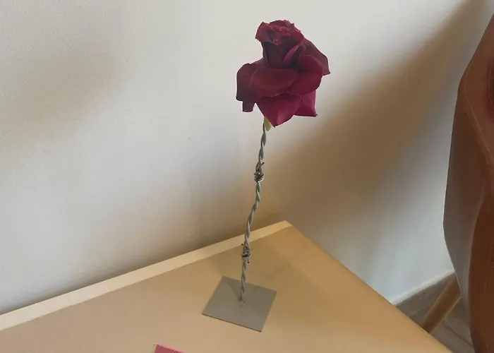 Fuentes Guest house 3*