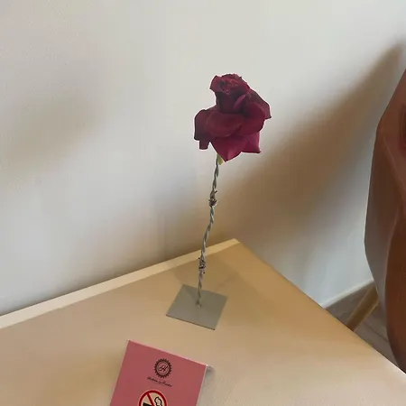 Fuentes Vendégház 3*