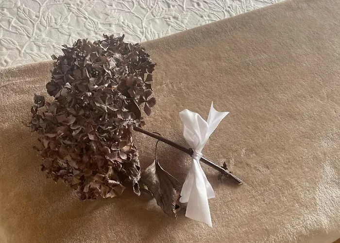 Гостевой дом Fuentes 3*